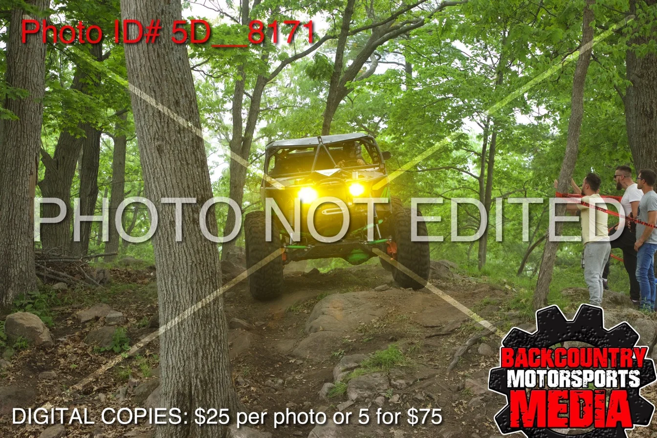 5D__8171.jpg