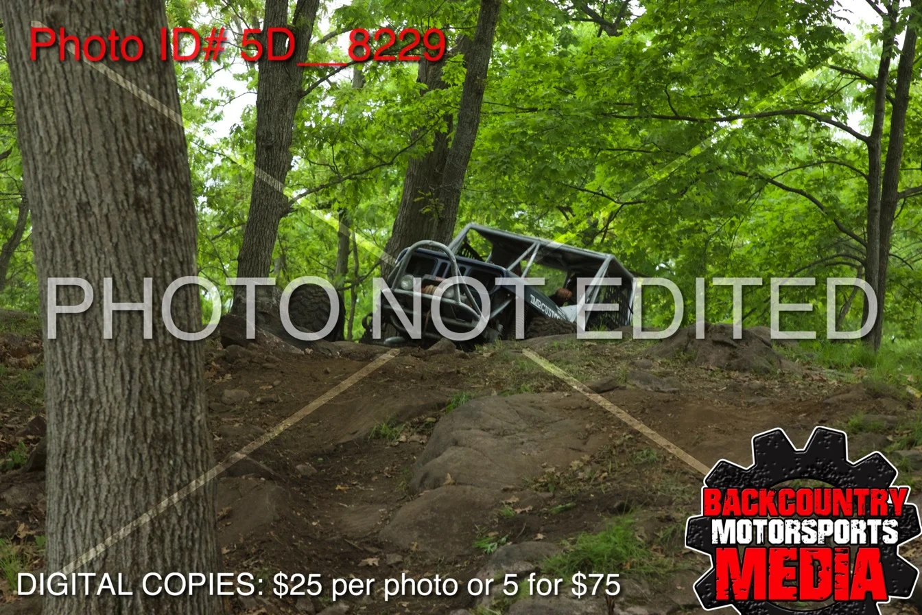5D__8229.jpg