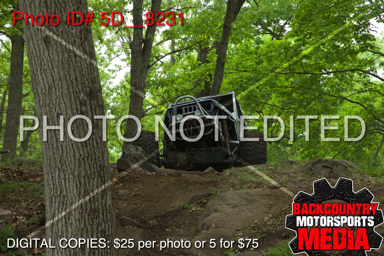 5D__8231.jpg