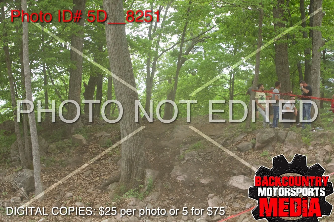 5D__8251.jpg