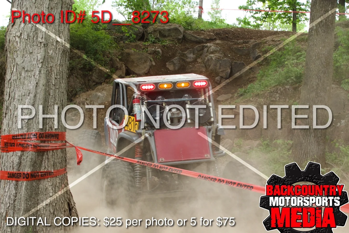 5D__8273.jpg