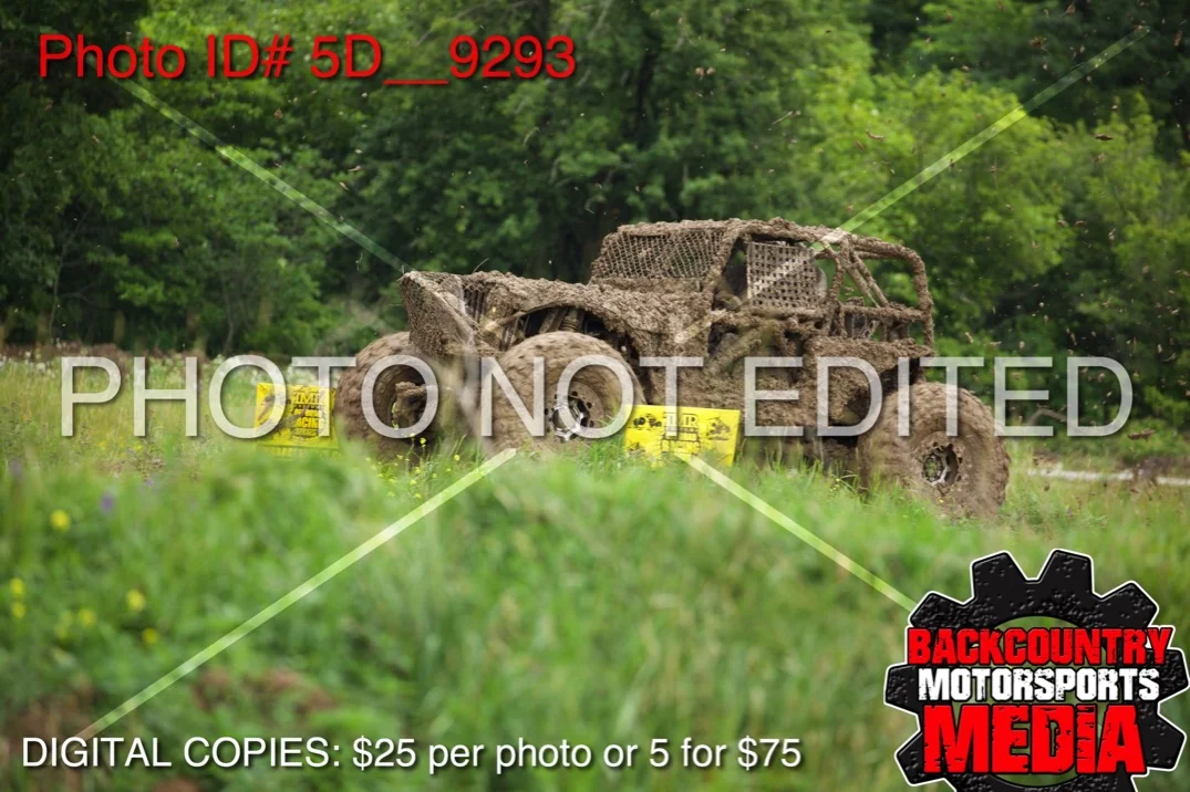 5D__9293.jpg