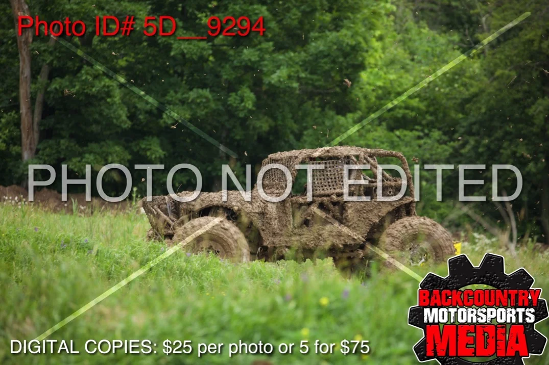 5D__9294.jpg