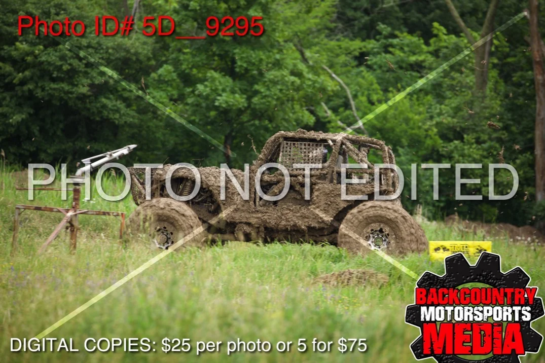 5D__9295.jpg