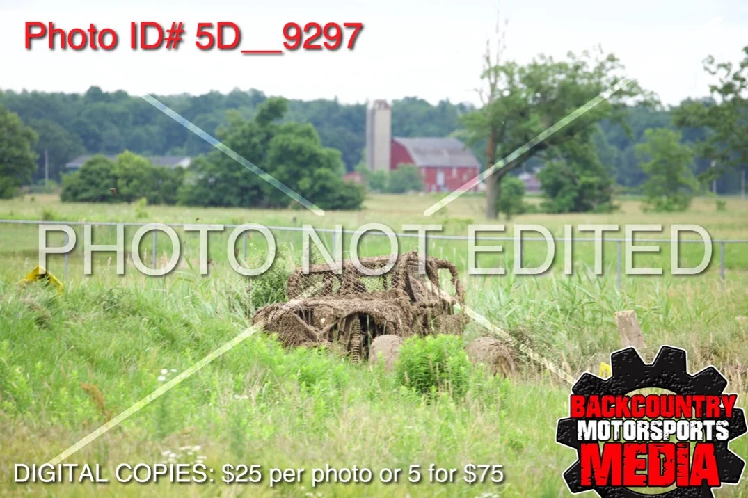 5D__9297.jpg