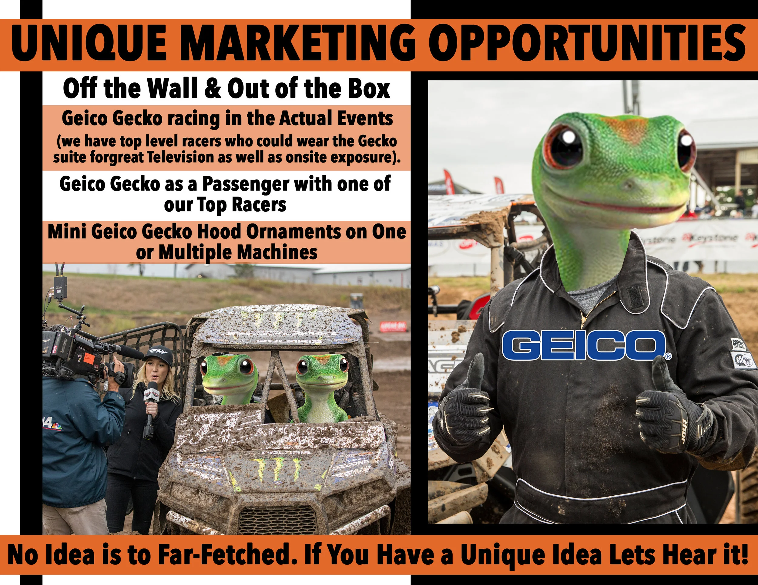 Geico PAGE3.jpg