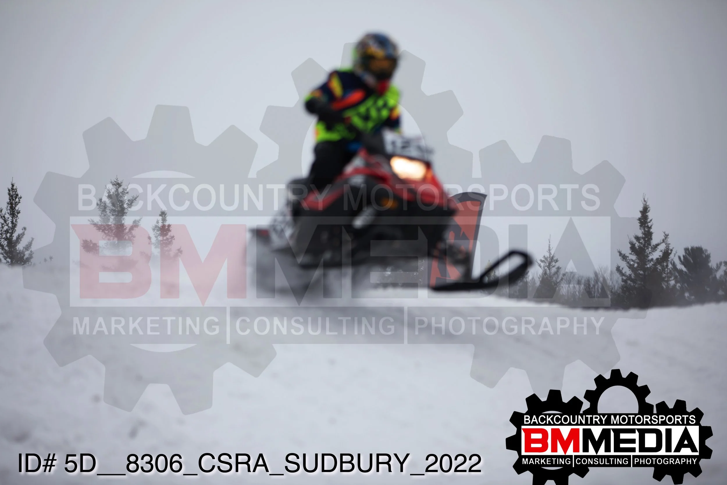 5D__8306.jpg