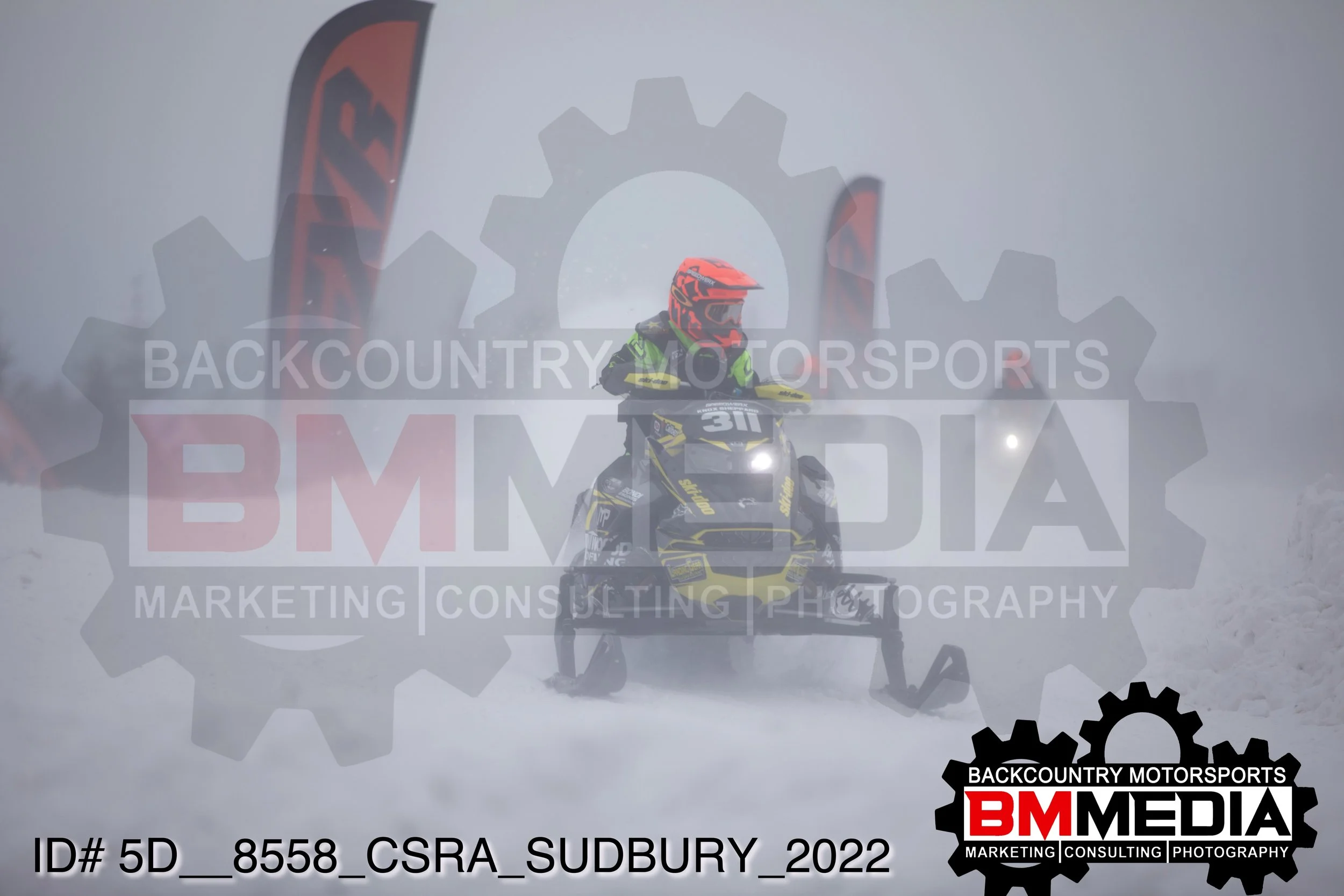 5D__8558.jpg