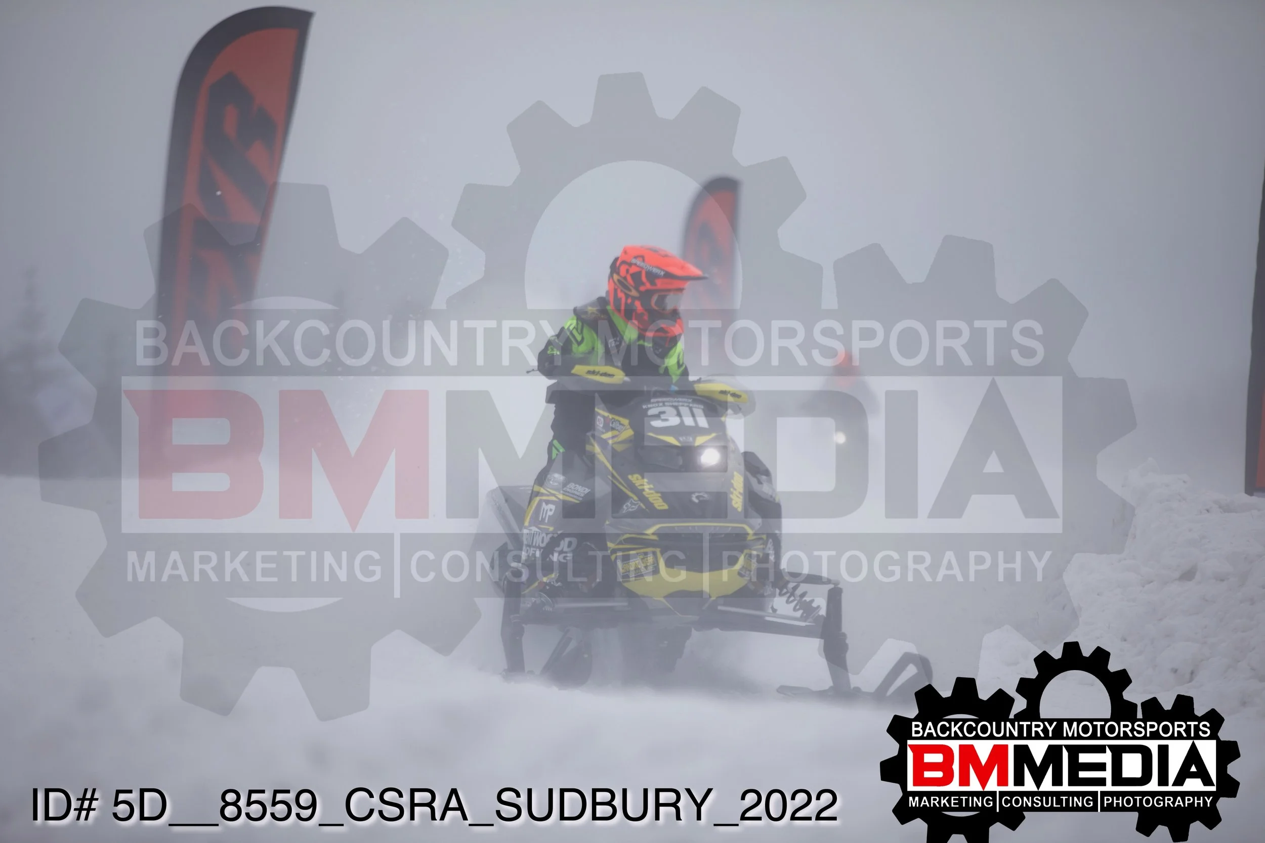 5D__8559.jpg