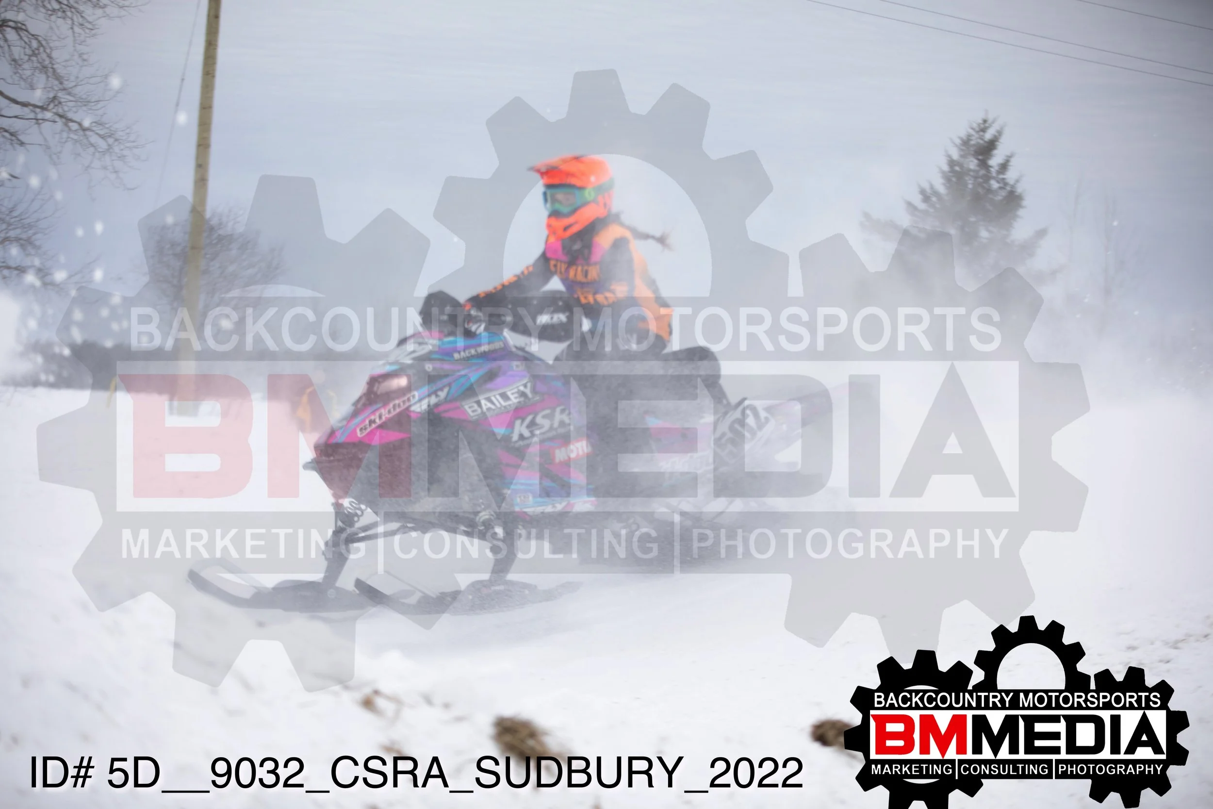 5D__9032.jpg