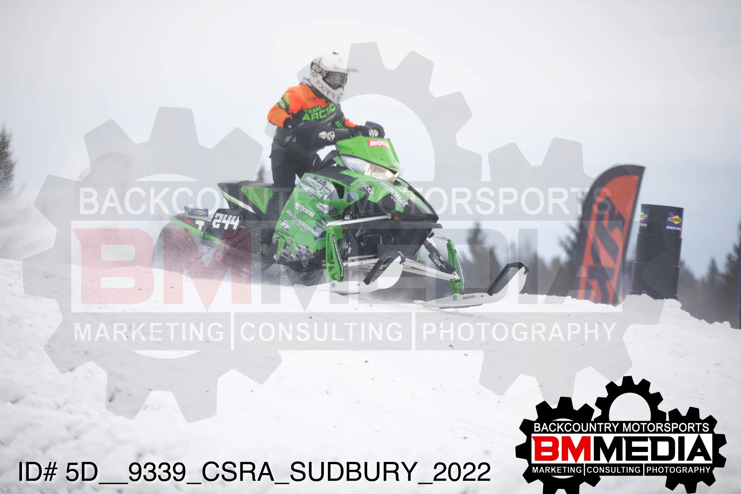 5D__9339.jpg