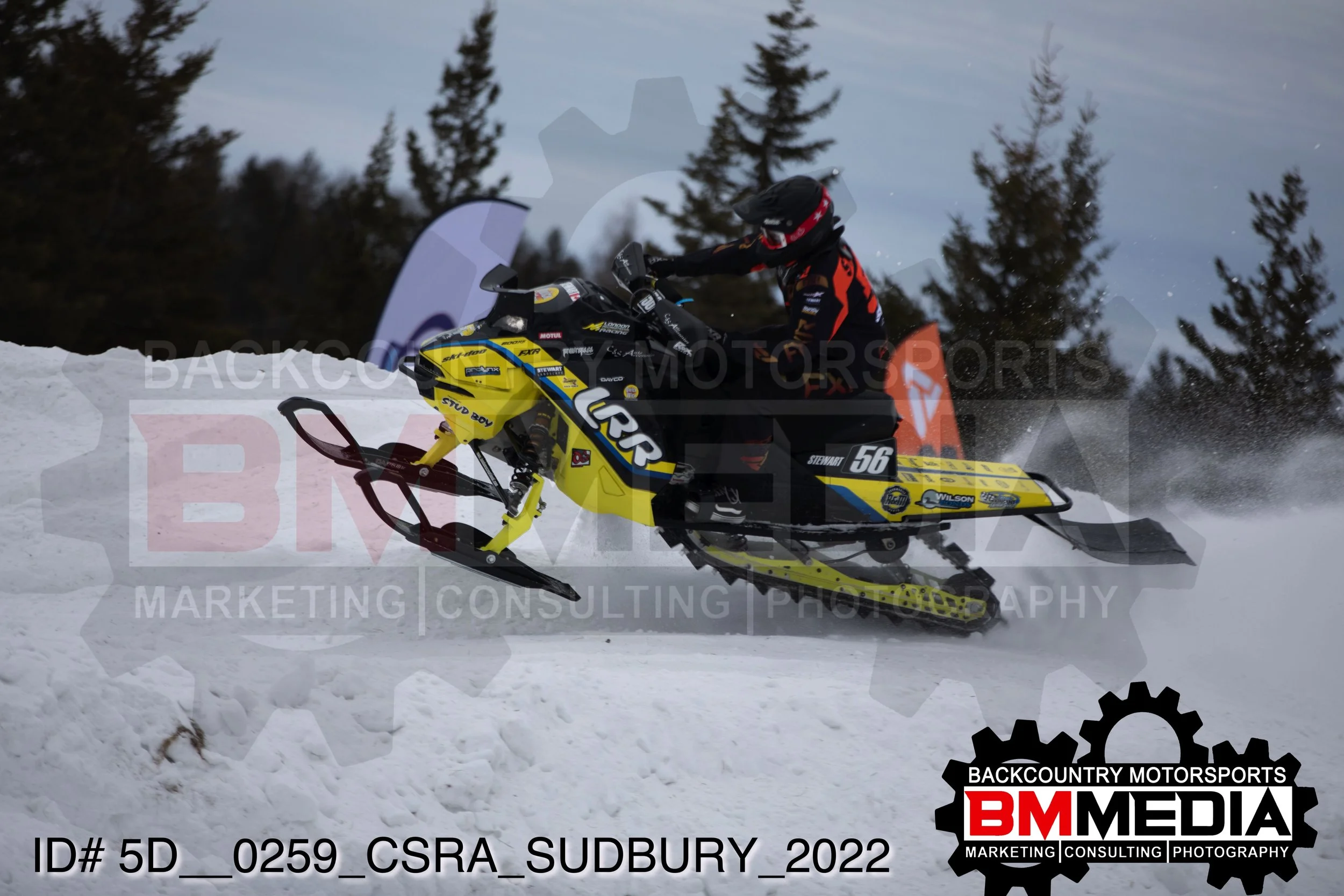 5D__0259.jpg