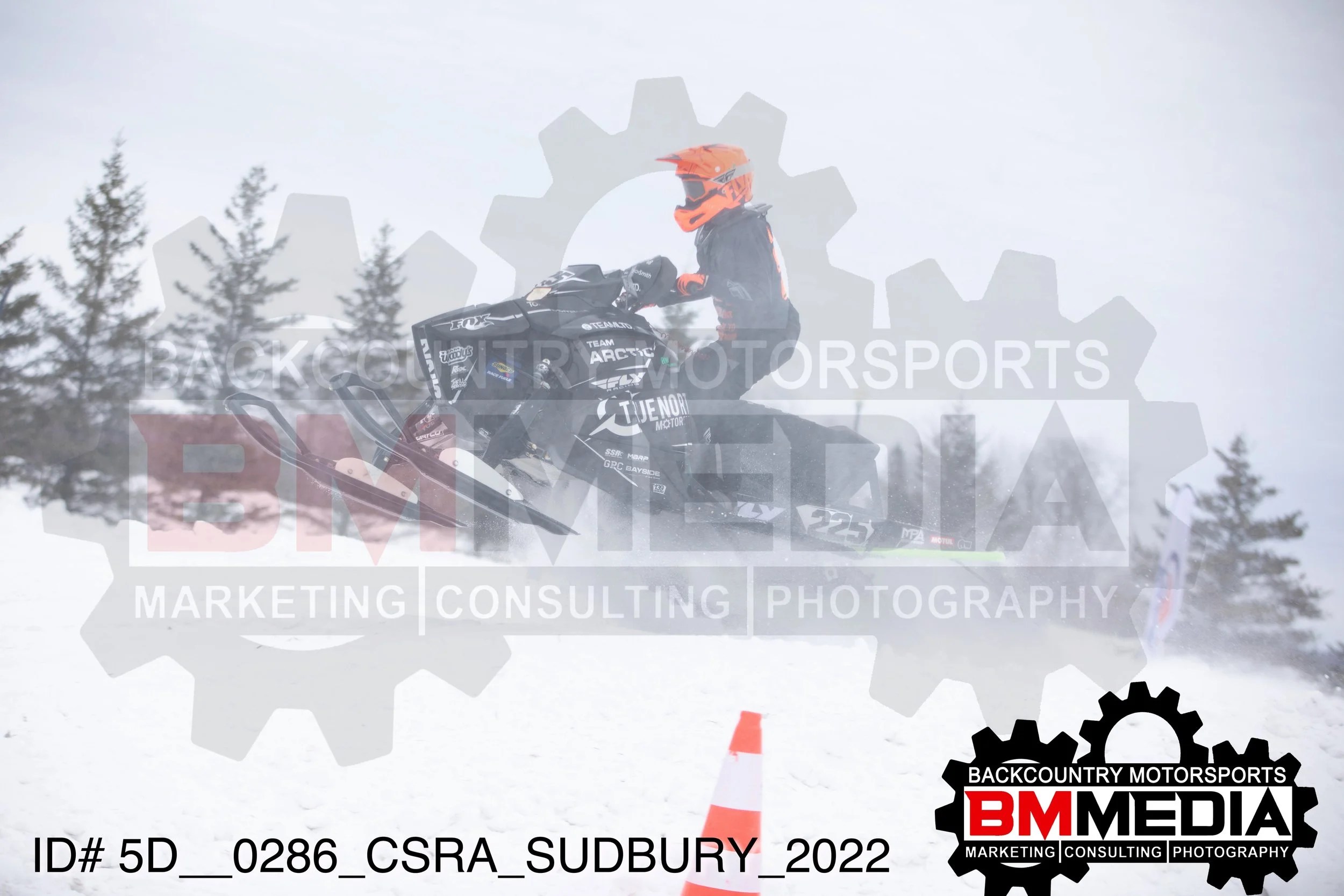 5D__0286.jpg