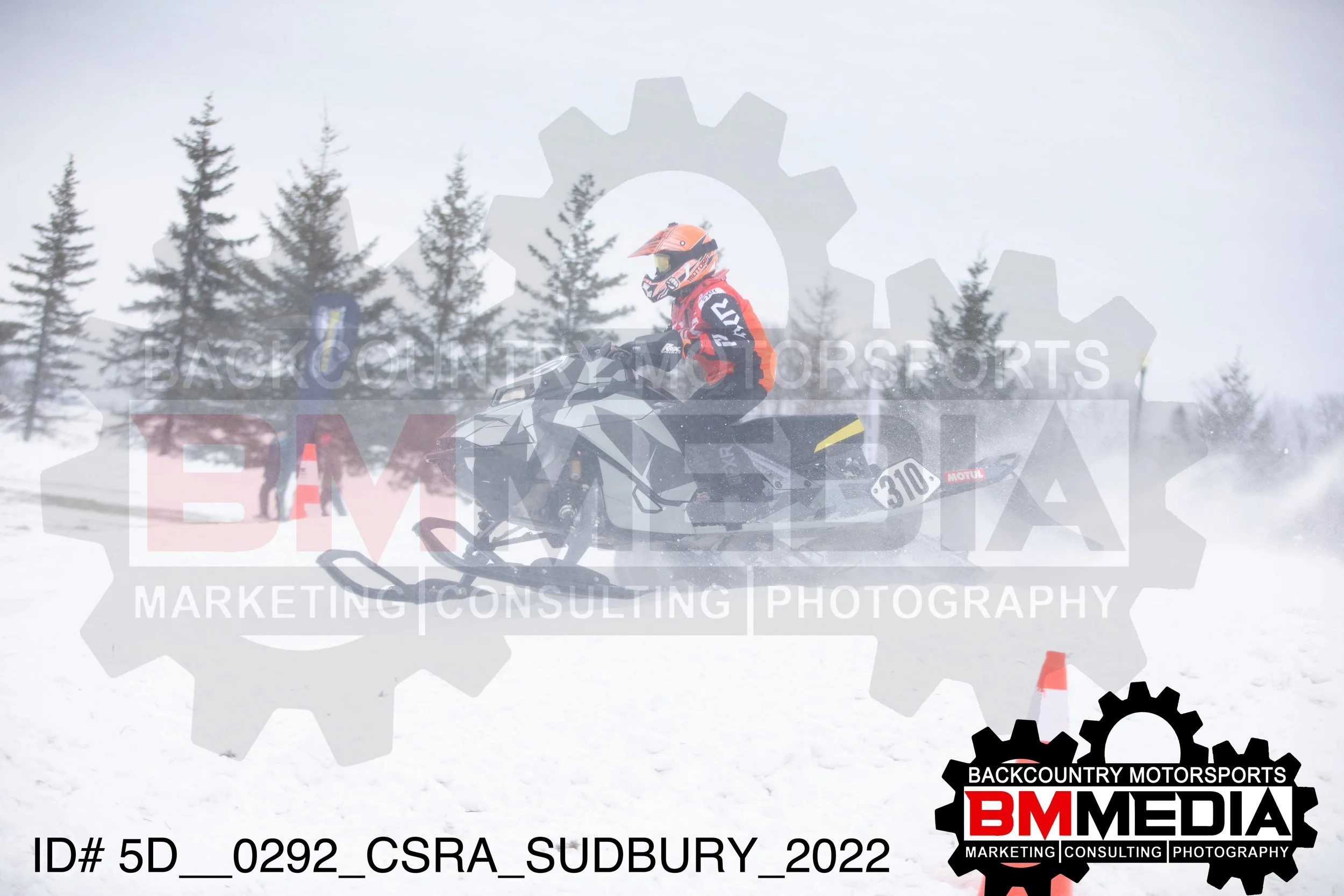 5D__0292.jpg