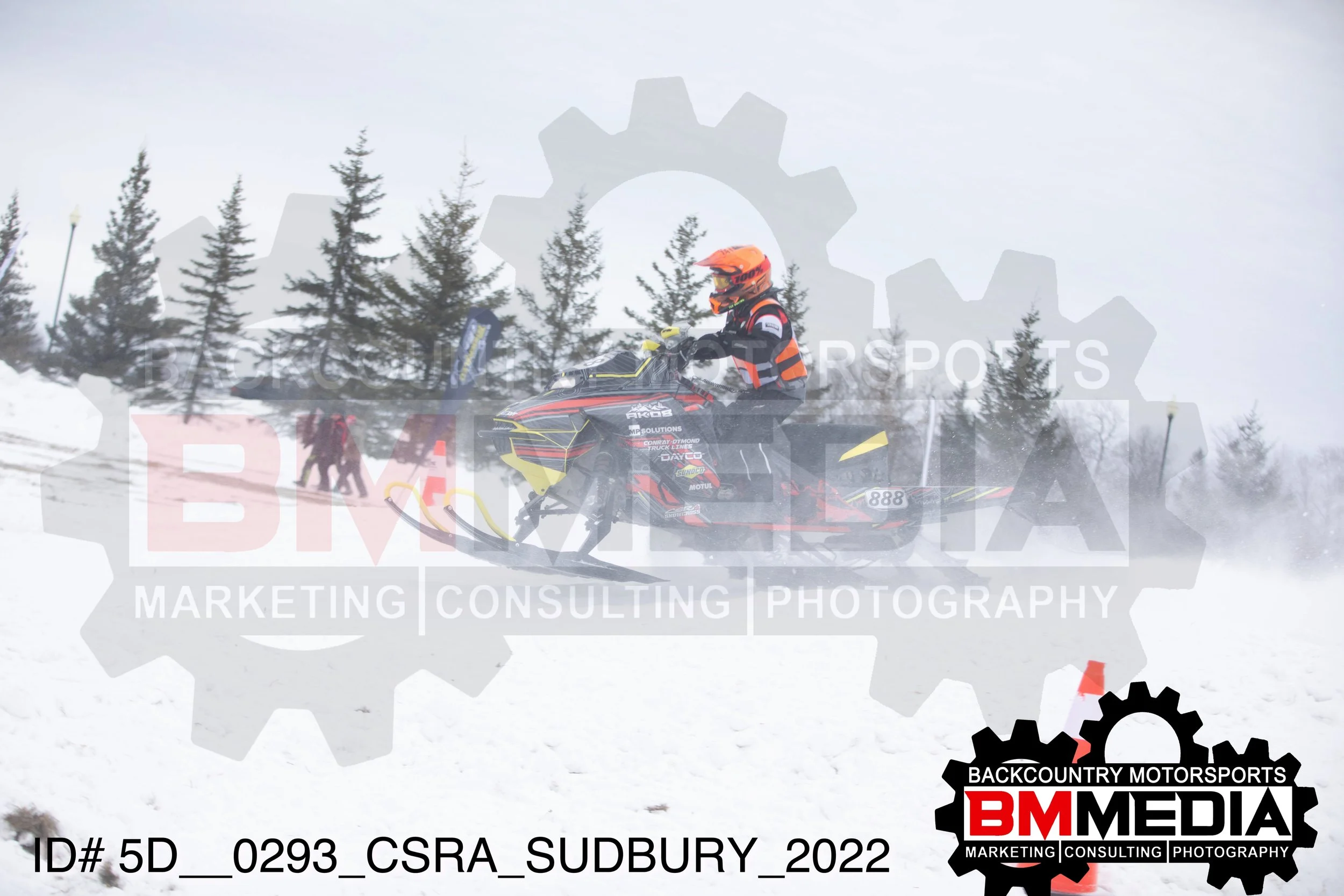 5D__0293.jpg