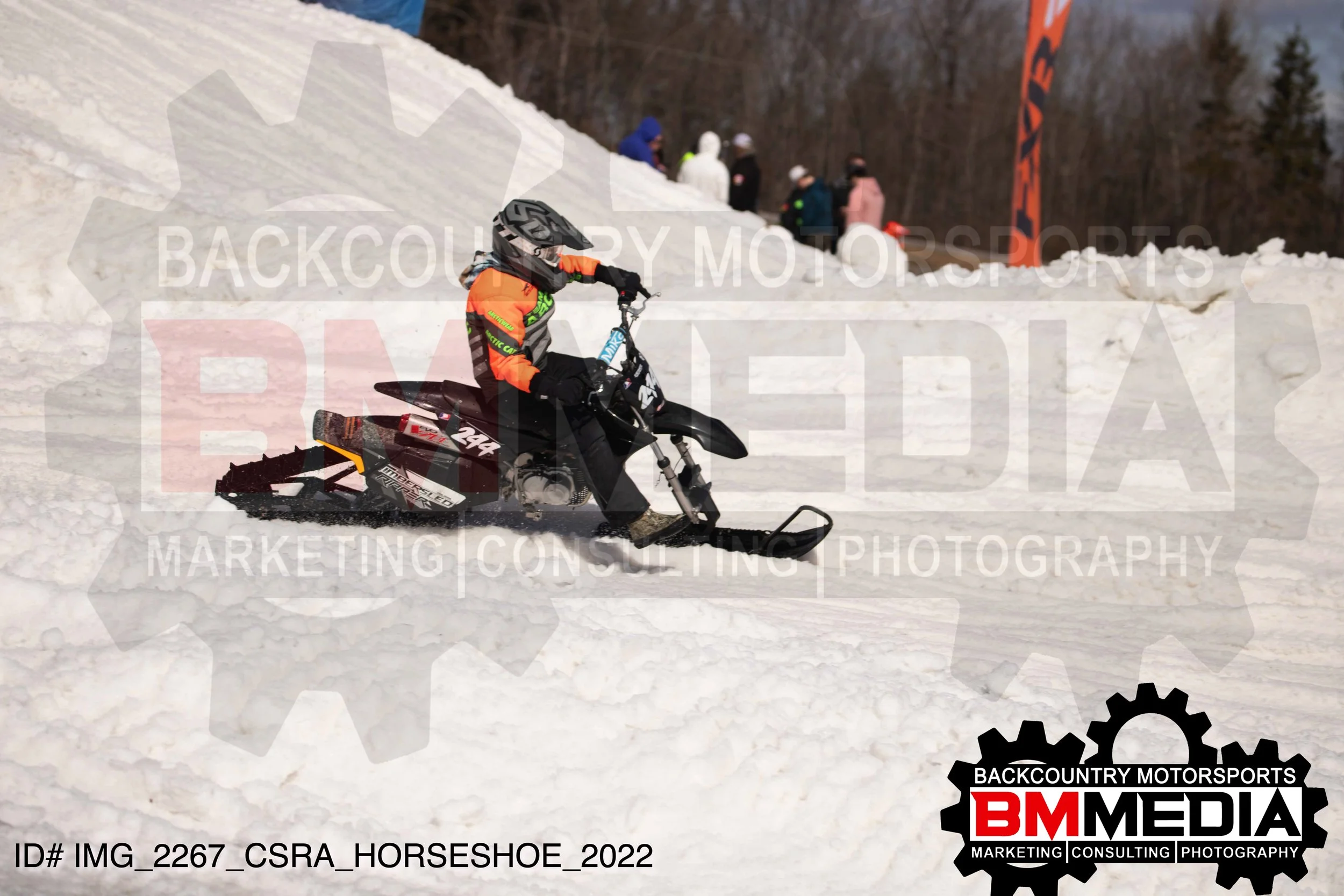 IMG_2267.jpg
