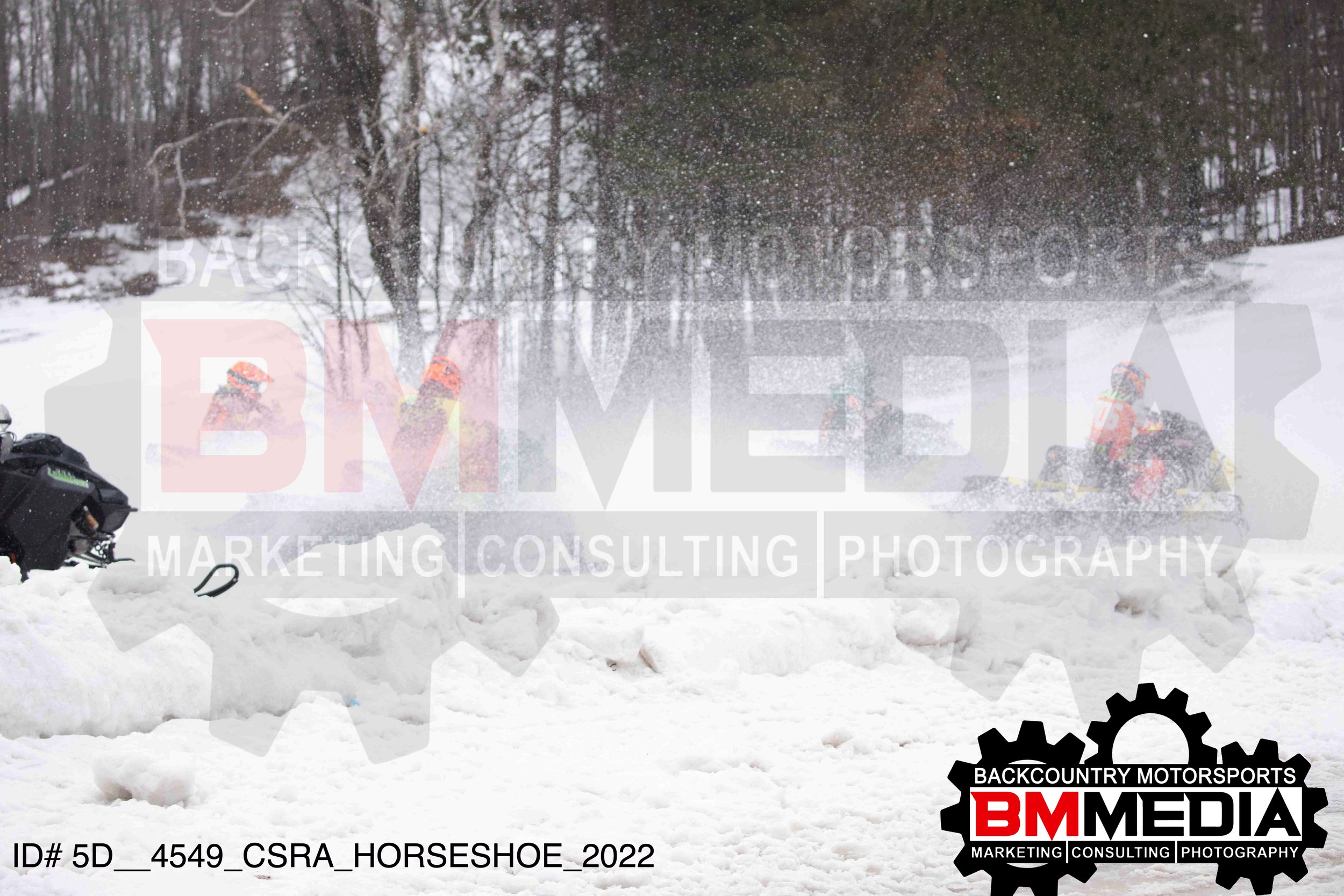 5D__4549.jpg