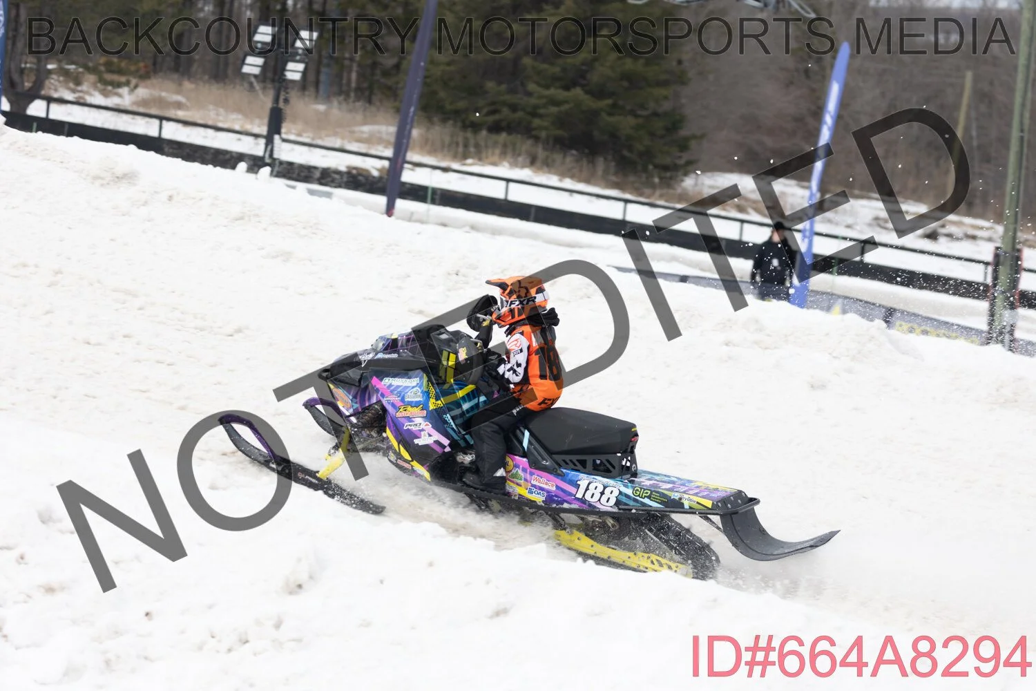 664A8294.jpg