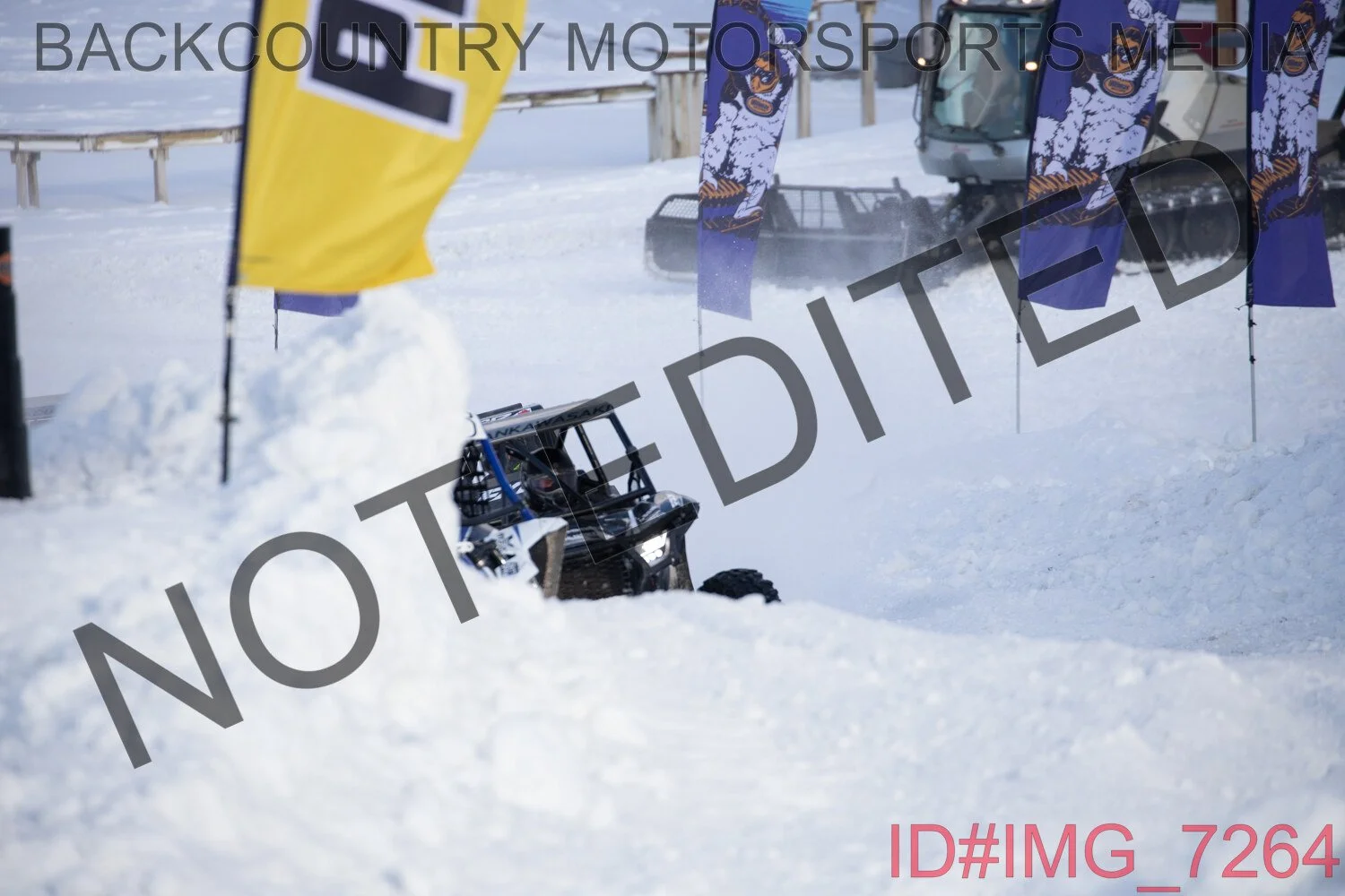 IMG_7264.jpg