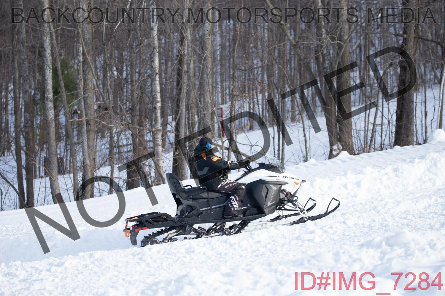 IMG_7284.jpg