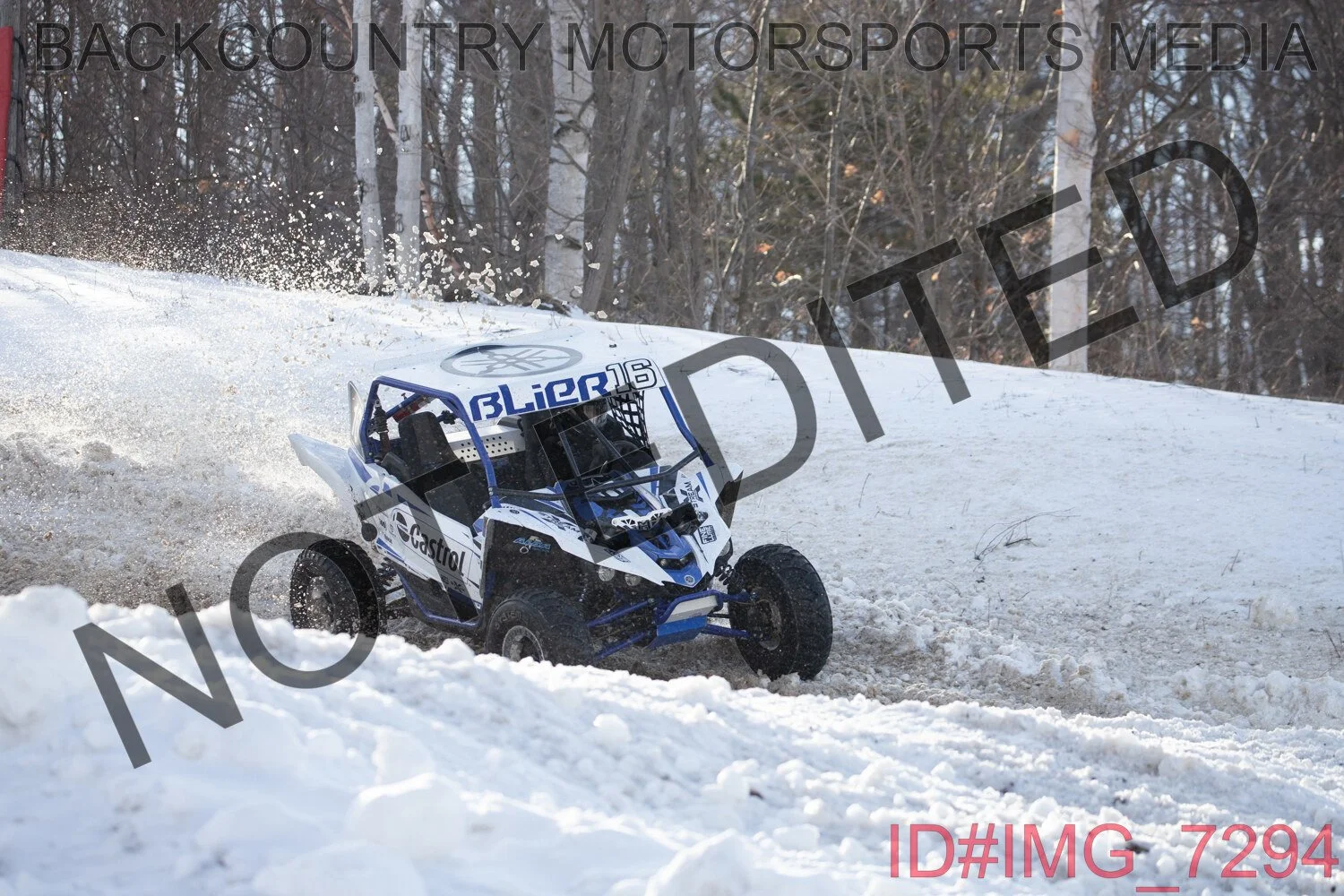 IMG_7294.jpg