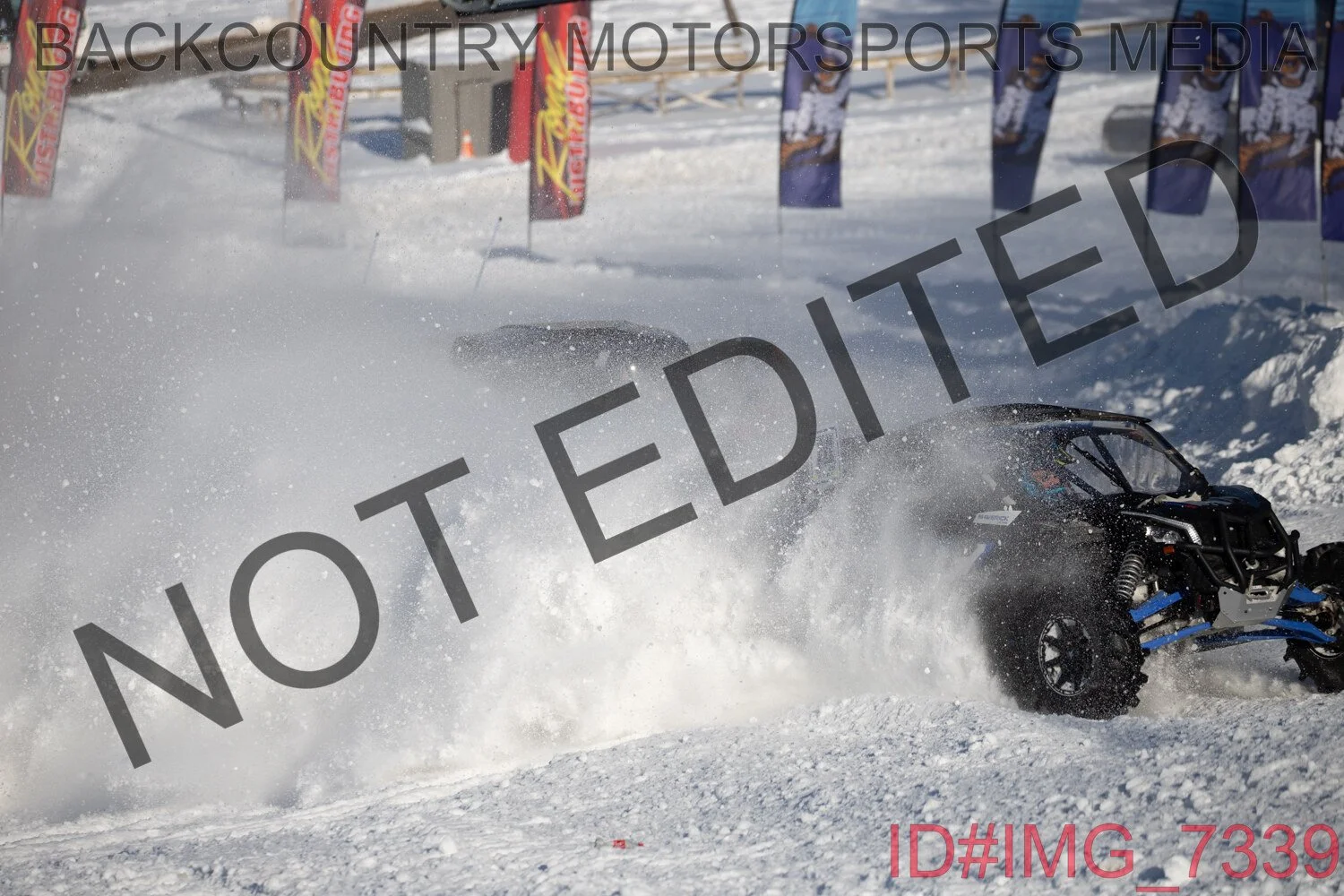 IMG_7339.jpg