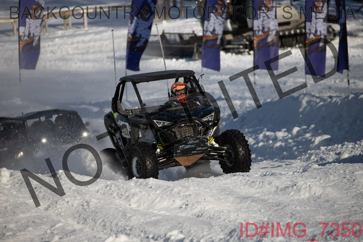 IMG_7350.jpg