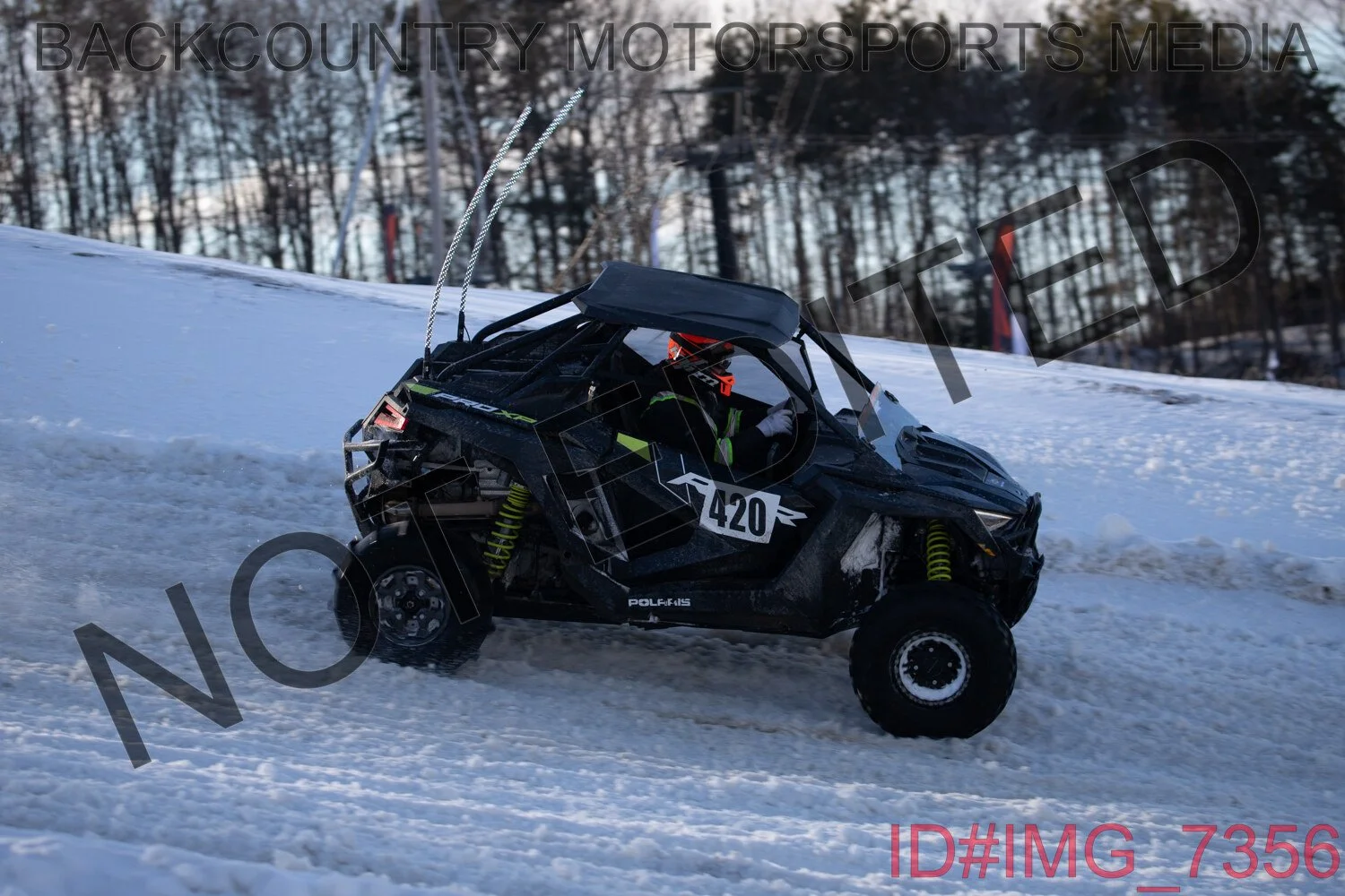 IMG_7356.jpg
