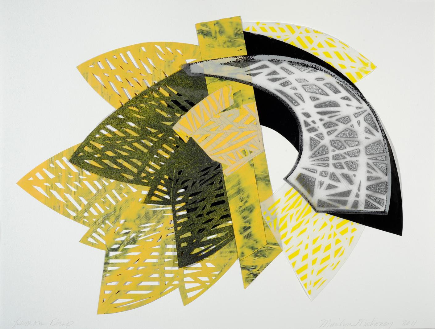 Lemon Drop 2012 22” x 30” Graphite, Acrylic, Mylar on paper Private Collection