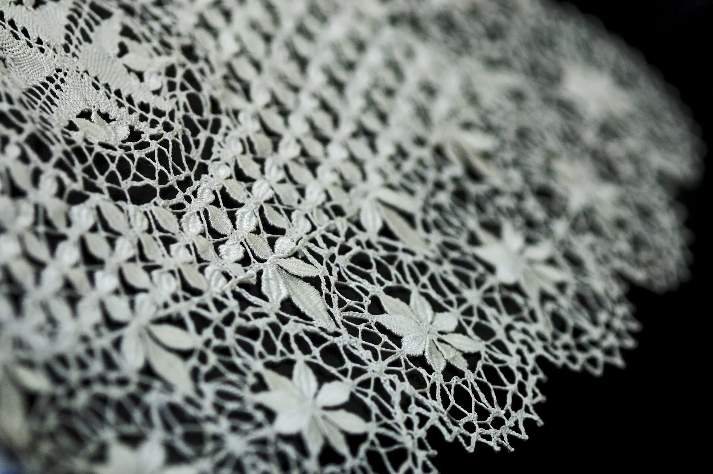 Maltese+Lace+%282%29.jpg