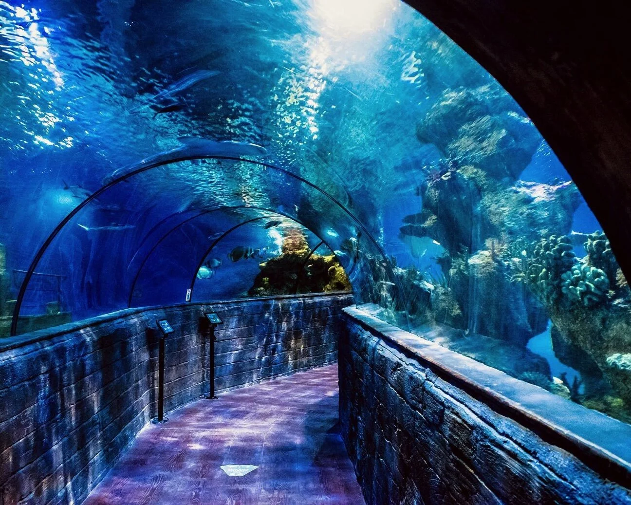 Víz alatti CCTV kamera a Máltai Nemzeti Akváriumba