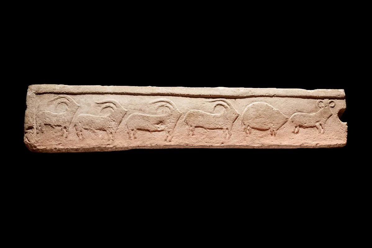 Kulináris időutazás Máltán. Mit ettünk 5000 éve?