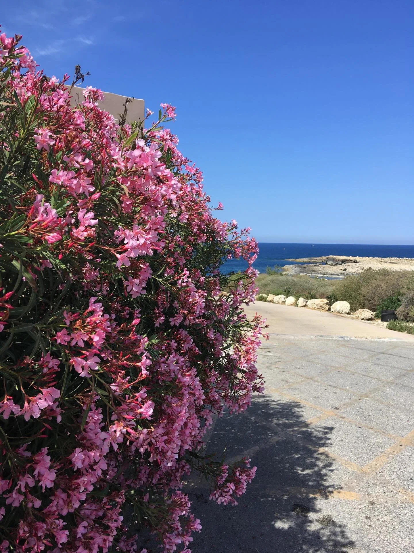 A tavasz sz&iacute;nei M&aacute;lt&aacute;n. #visitmalta #exploremore #tavasz #utazas #fedezdfel