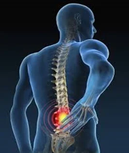 back 1.jpg