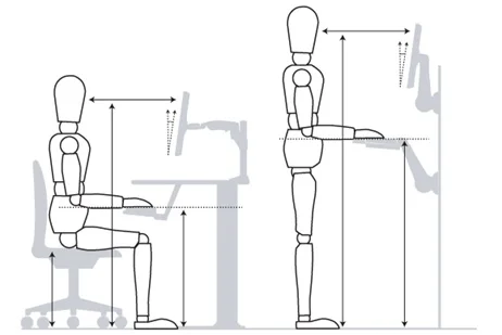We suggest the use a lumbar support temporarily to train her to remove the pressure to the nerves and disc. We ask her take numerous breaks throughout the day. During those breaks, we promote movement based exercises, such as the Cat-Camel illustrated below.