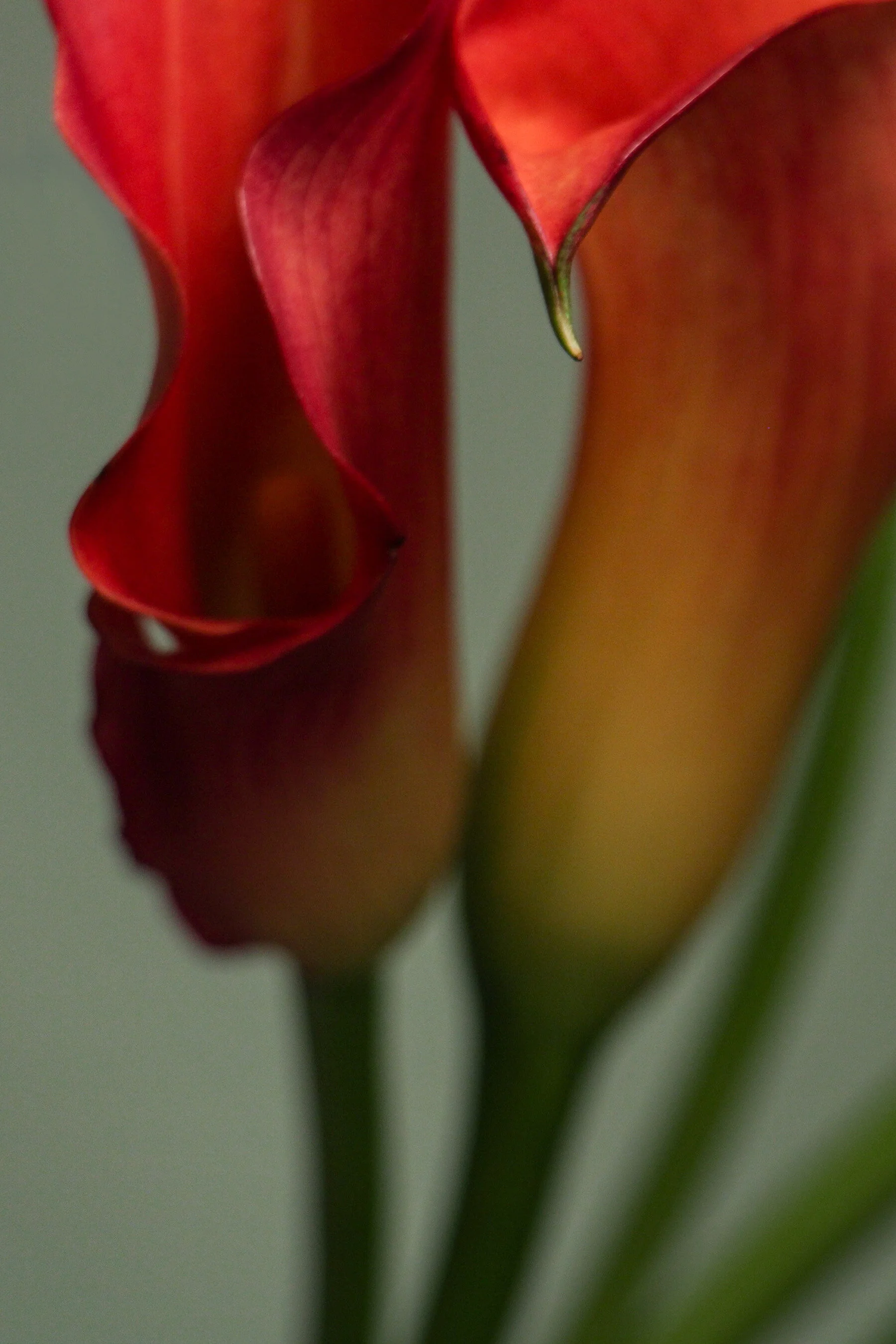 Photo6.jpg