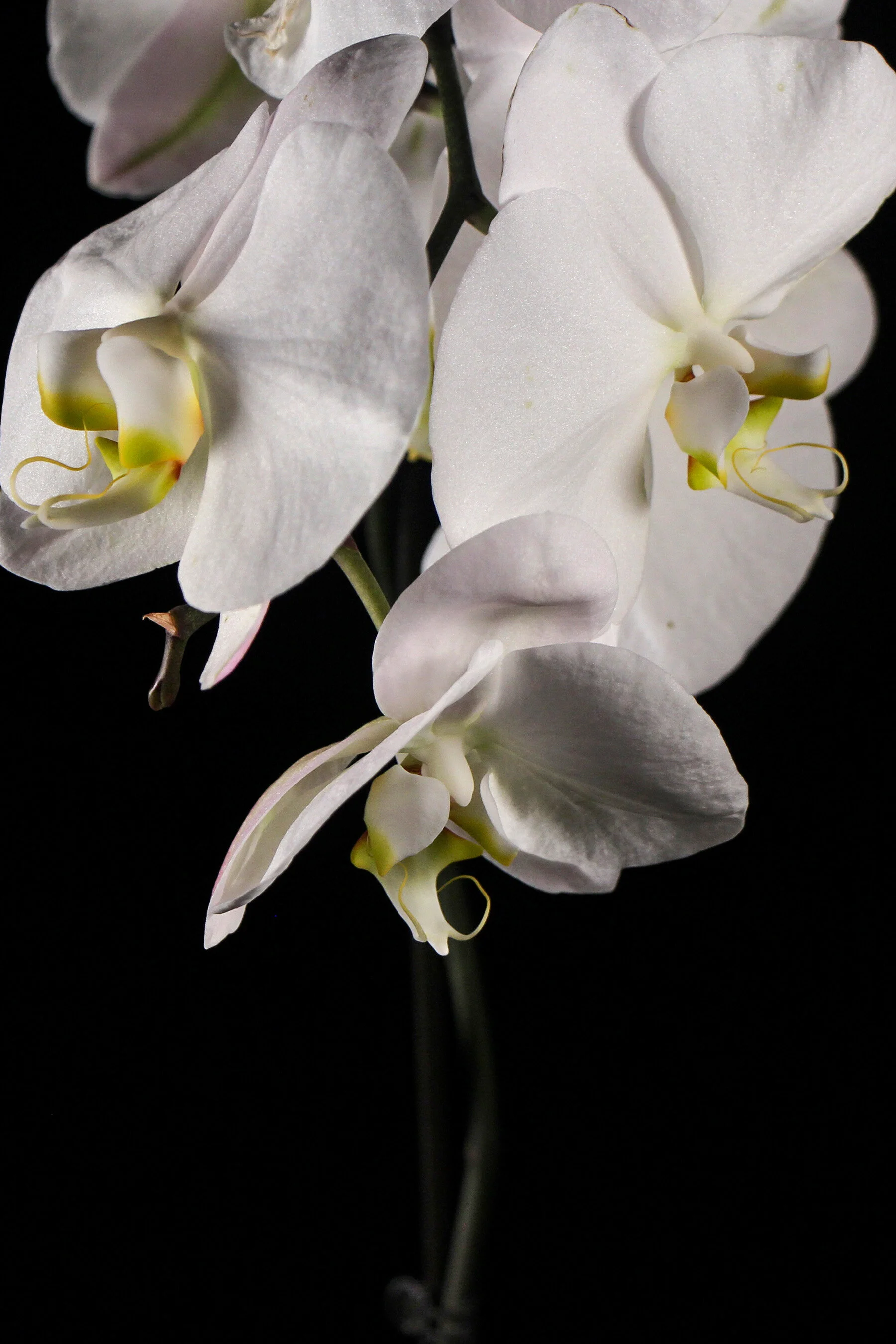 Photo7.jpg