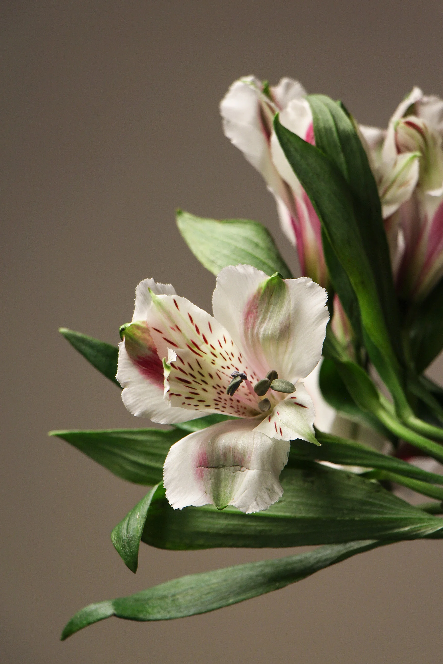 Photo8.jpg