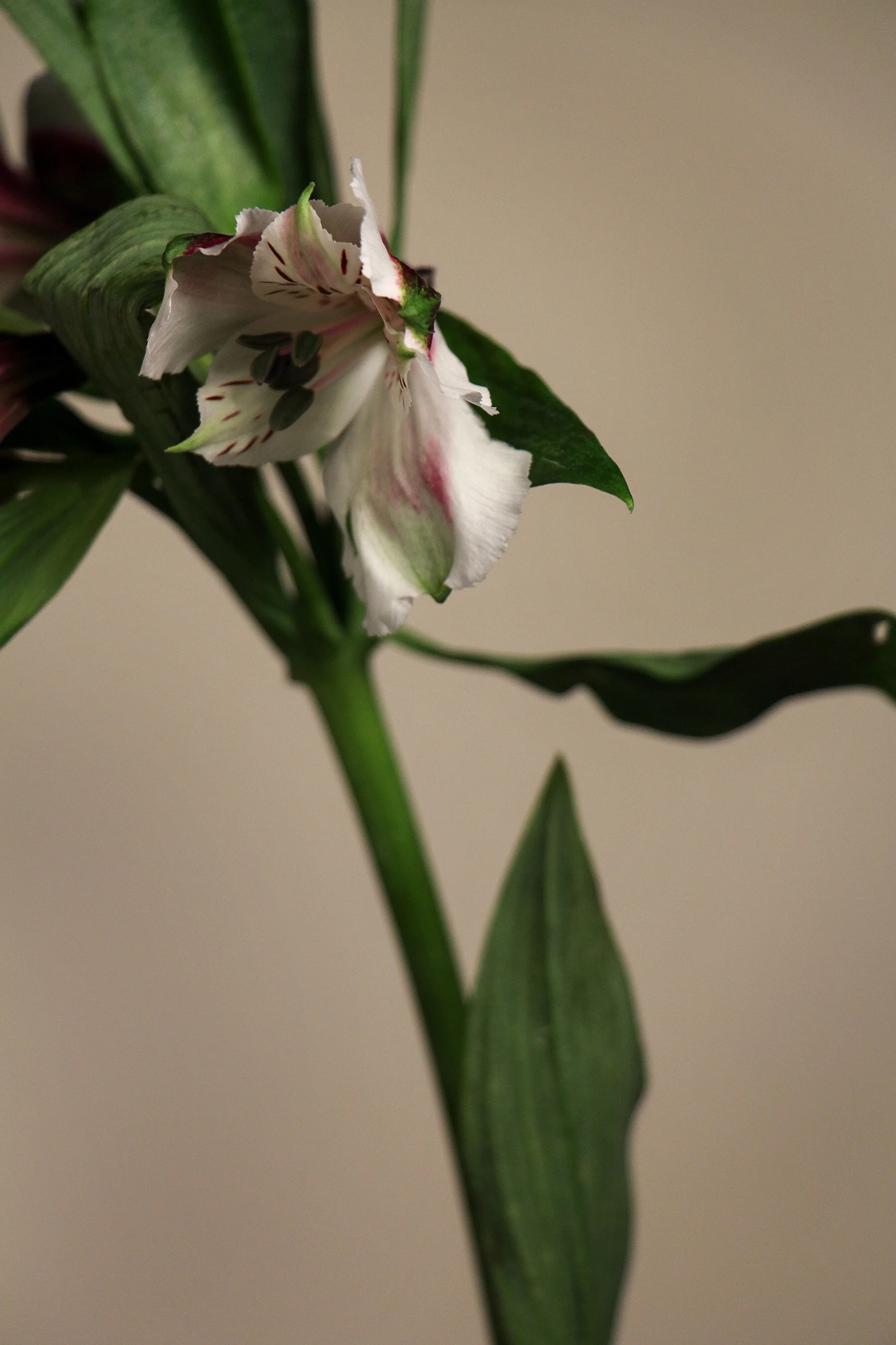 Photo9.jpg
