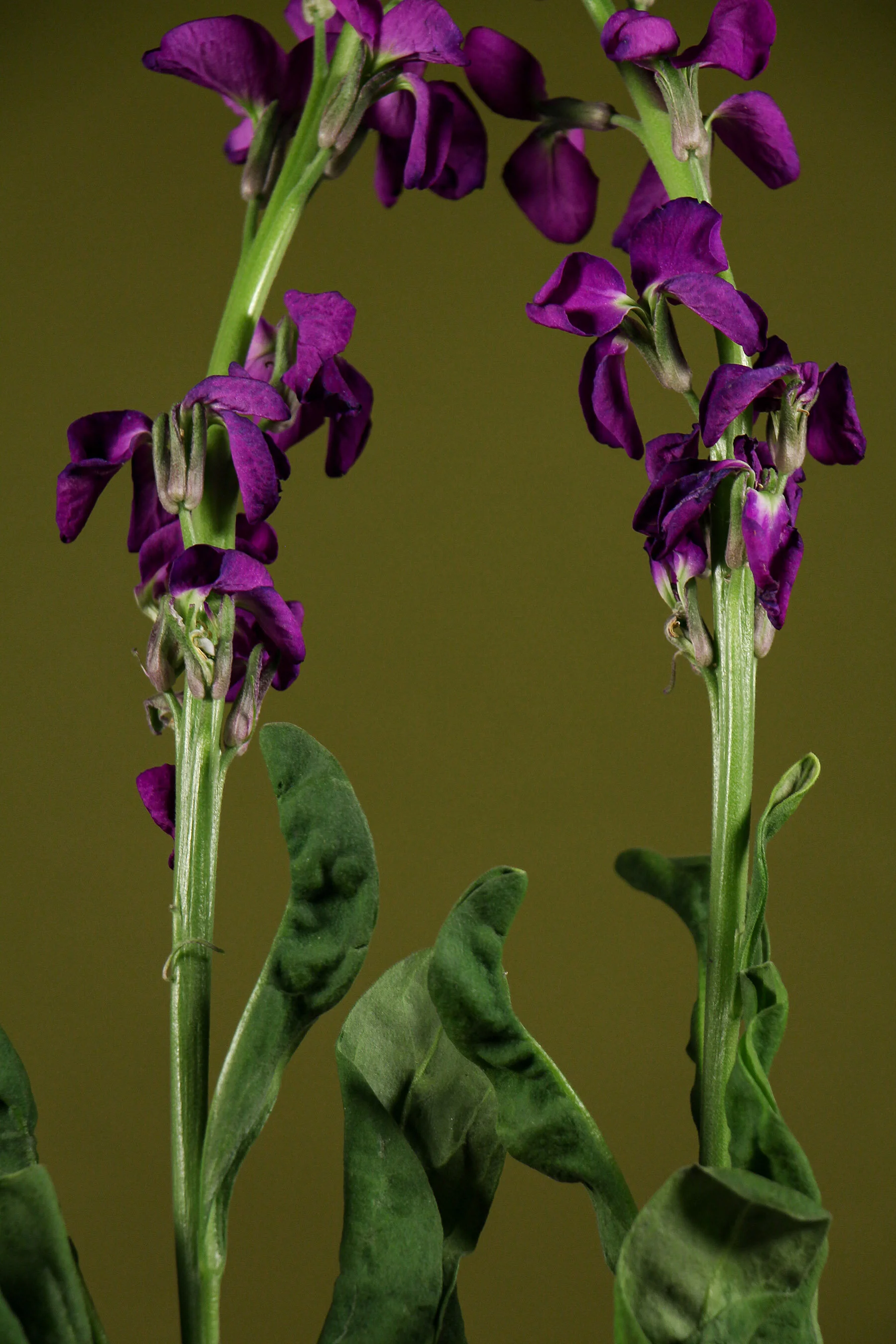 Photo10.jpg