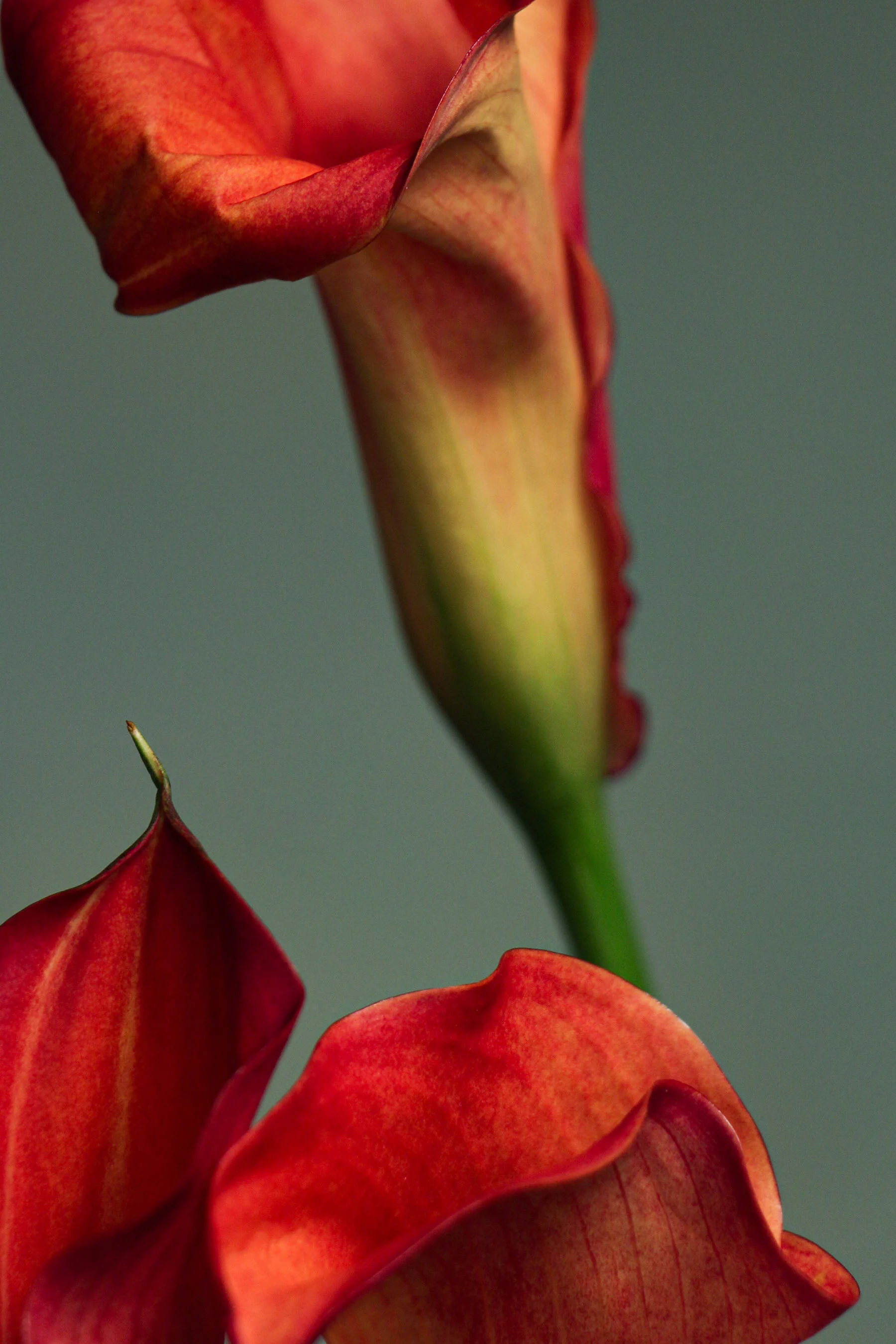 Photo15.jpg