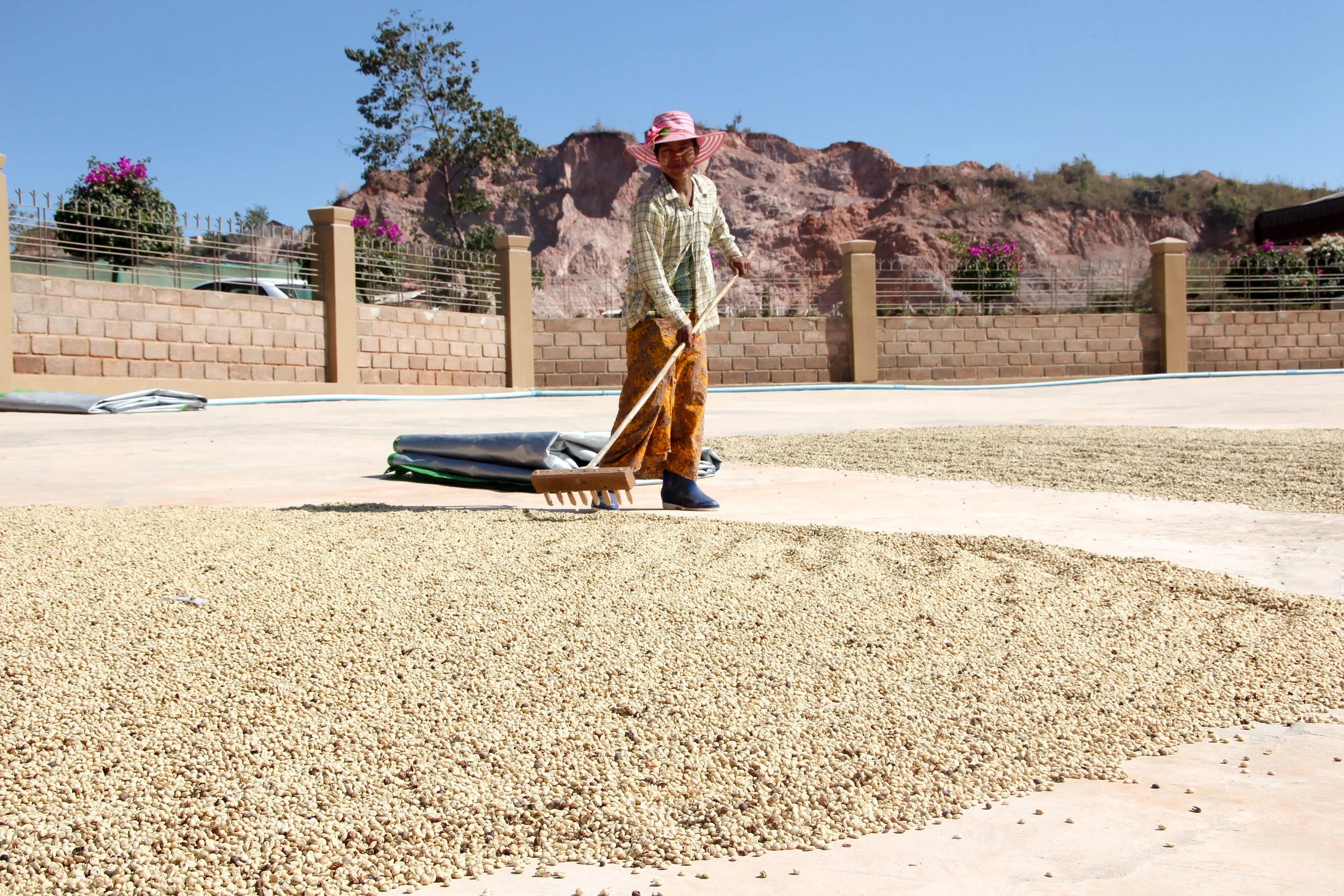  Patio Worker Rotating Coffee