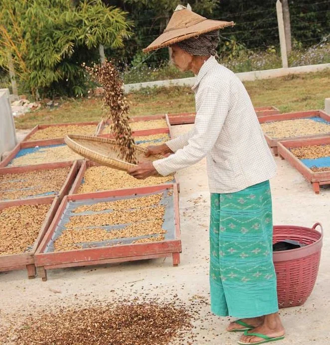 SaiWan_Worker_TossBeans-e1491234106347.jpg