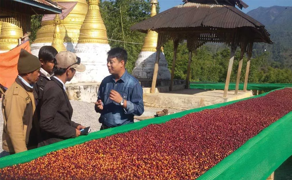 KoKoWin_CherryRiver.jpg