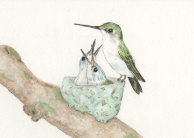 Jaclyn, Etsy: JaclynsStudio