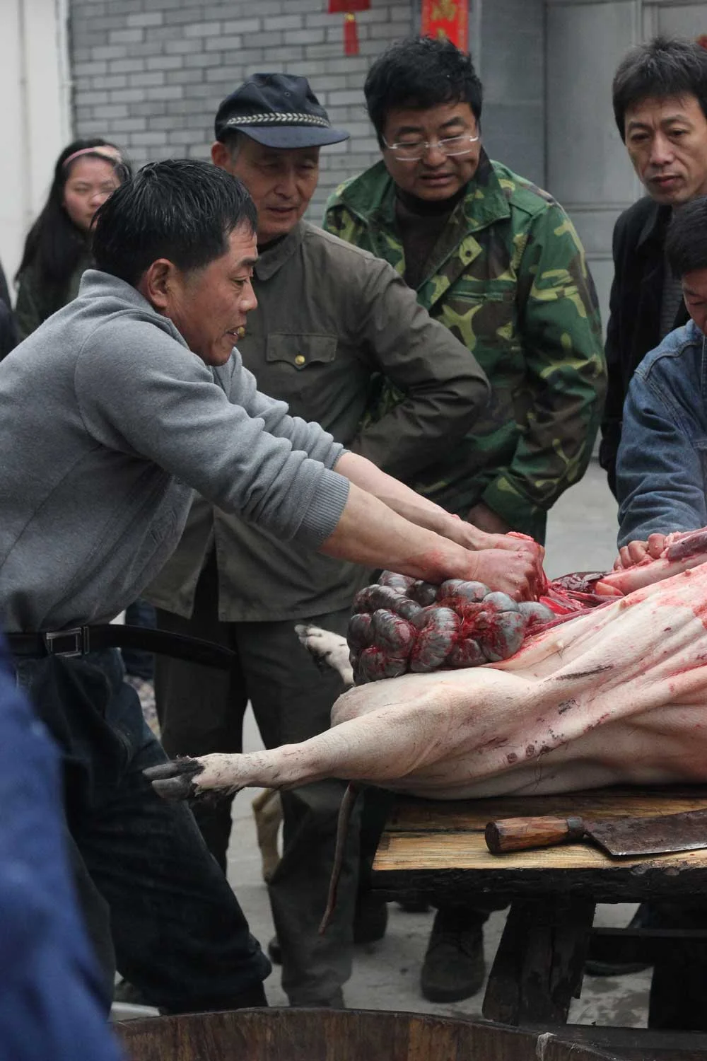 "As he yanks, the red, purple, and grey mounds of steaming material blossom out of the cavity of the boar."