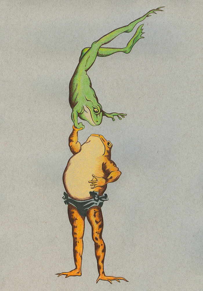 Frogs Illustration SM.jpg