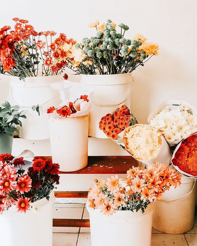 The best place to display flowers in your home? That's one secret we'll never tell...unless you head to our latest blog post!
⠀⠀⠀⠀⠀⠀⠀⠀⠀
Link in bio 😉
⠀⠀⠀⠀⠀⠀⠀⠀⠀
#floralfriday #osimpression #openingstatement #florals #floraltips #makehomeyours #flower