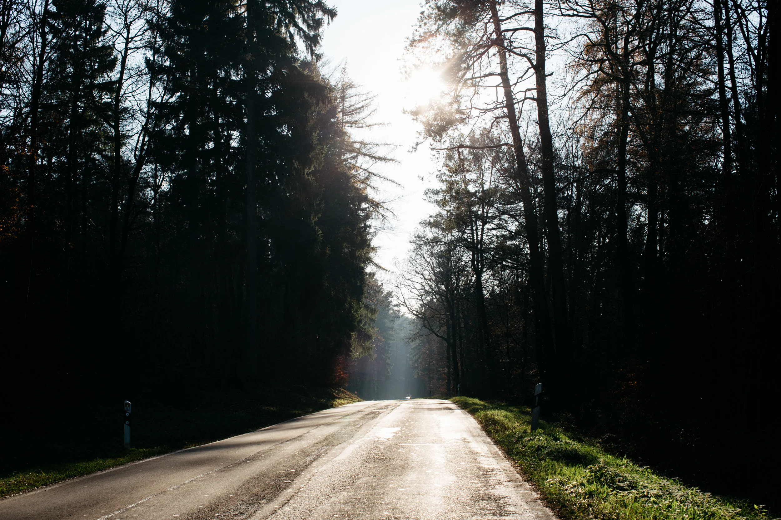 autobahn-germany-fortitude-and-finn.jpg