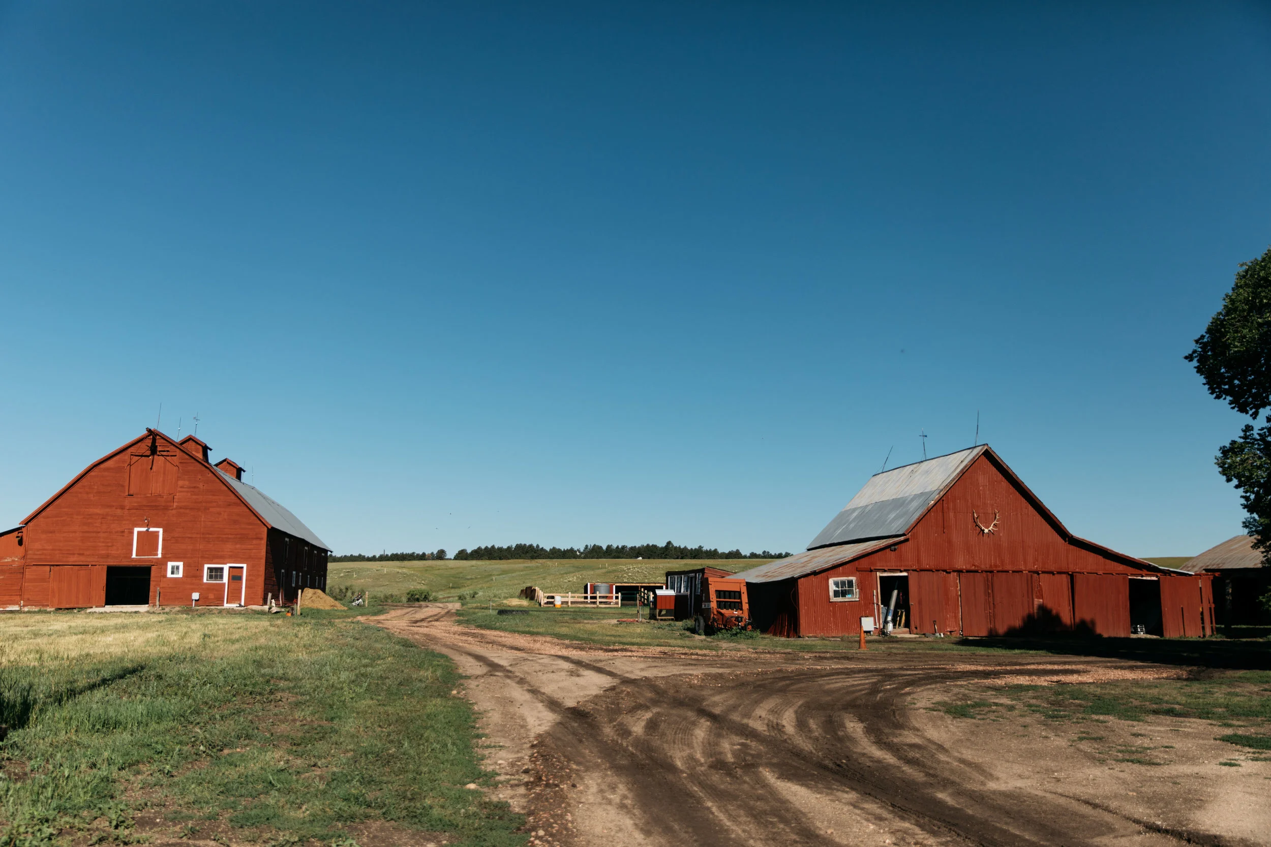 These are some of the original barns near the original farmhouse Tiffany is referencing. They remodeled the original farm house in addition to building their home and another that rest on the property.